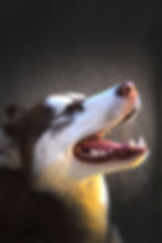ree