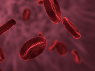MASTOCITOMA CANINO