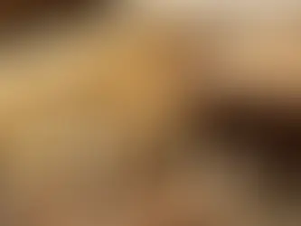 Wheat Prices Edge Higher as Weather Threatens Crops and Export Routes Tighten