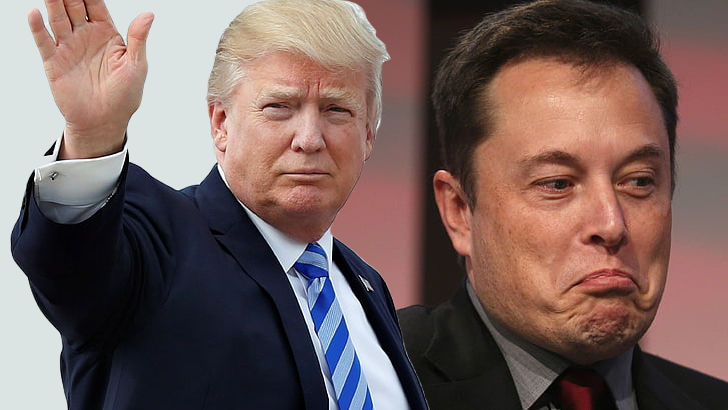 Trump's Election Odds Soar with $6.4M Bet: Polymarket Speculates on Possible Musk Link