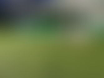 【ラグビー】流山グレイトホークス練習レポート 2025.06.23