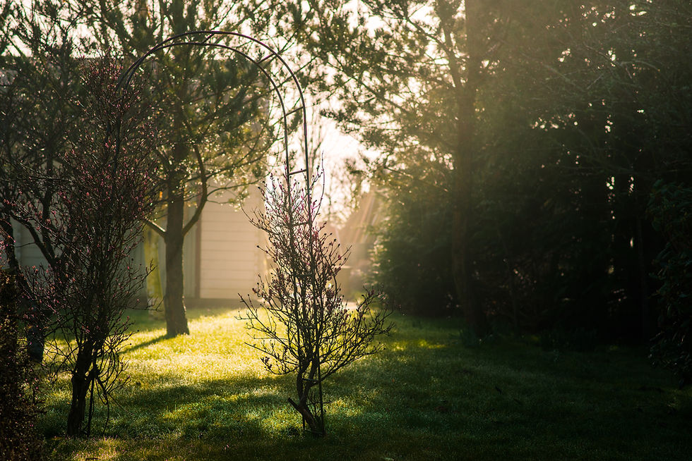 Best-aberdeen-family-children-photographer-montrose-arbroath-aberdeenshire-natural-light-beam