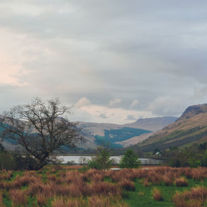 Learning Week - Day 4: The Goods | Aberdeen and Aberdeenshire Family Photographer