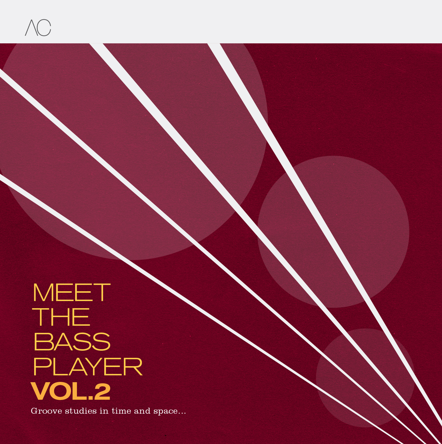 Meet The Bass Player Volume 2 by Alan Cox