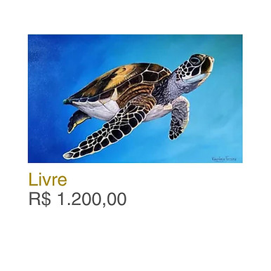Exposicao no site.jpeg