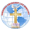 SALMI Logo.PNG