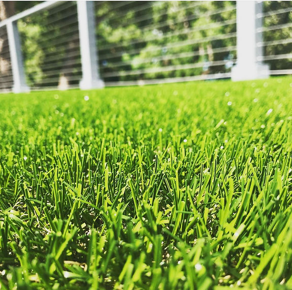 Landscape turf.jpg