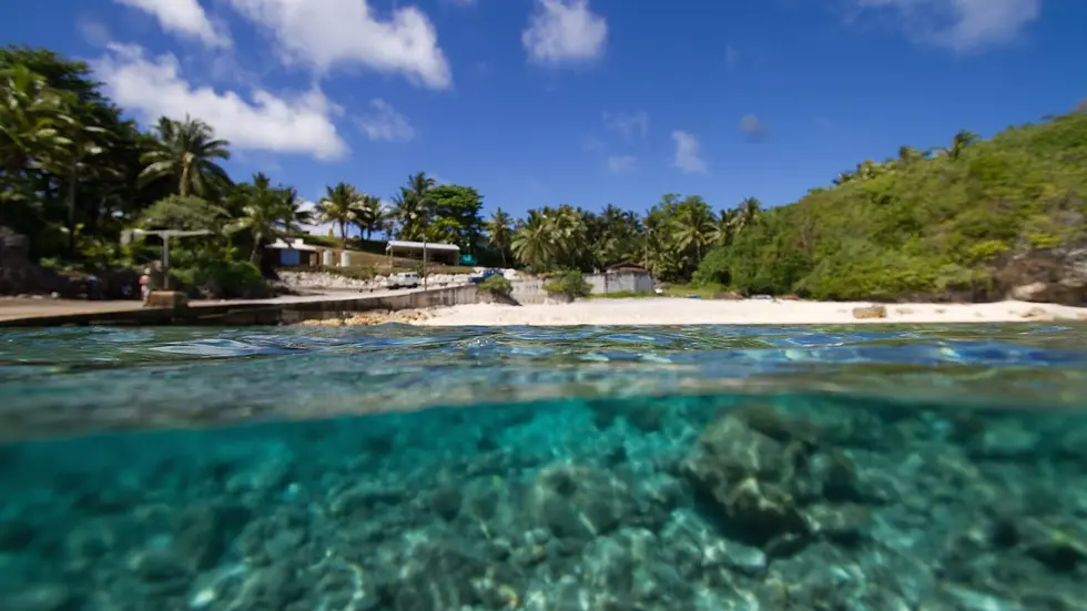 109116-Niue.webp