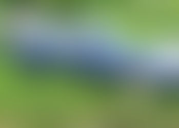 Do I need to SORN my car before scrapping it?