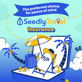 Cover image of Seedly Travel Insurance portfolio page