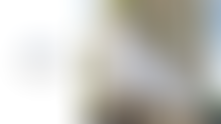 Weybridge Gardens 3 The Alps