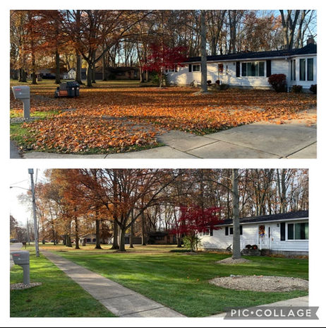 American Grounds Management