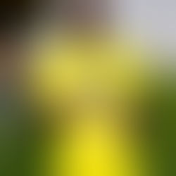 Profil de joueur : Karl ETTA EYONG