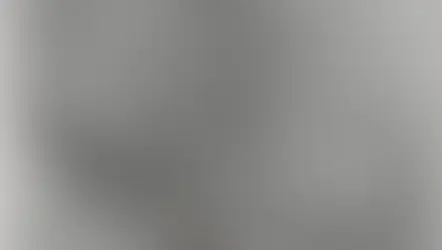 Hidden in Clay, Alive in History