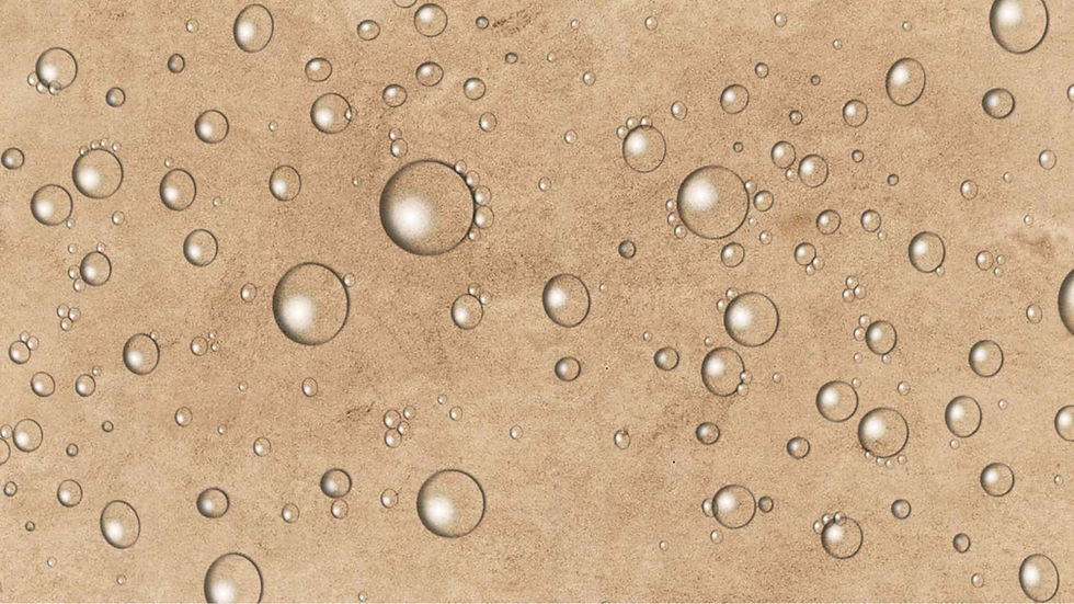 barrier coated paper