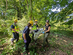 The OSRT search team members are adept at conducting detailed searches in dense undergrowth as well as in heavily wooded environments