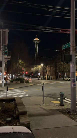 Space Needle in Seattle, Washington.