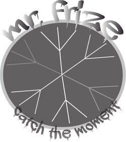LOGO MR.FRIZE