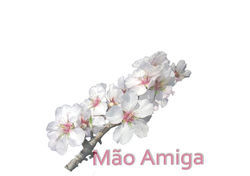 Logótipo Mão Amiga
