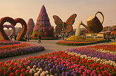 miracle-garden-visits-with-us.png
