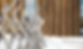 41344820762_2aab9e847d_c_edited.jpg