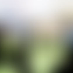 Apresentação dos animais marca noite de confraternização antes do 2º Leilão do Haras João e Maria