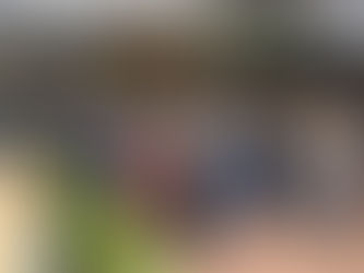 RECORDE! Haras João e Maria faz história em MS