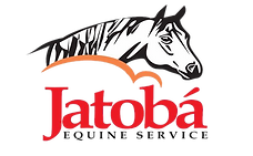 LOGO FUNDO TRANSPARENTE.png