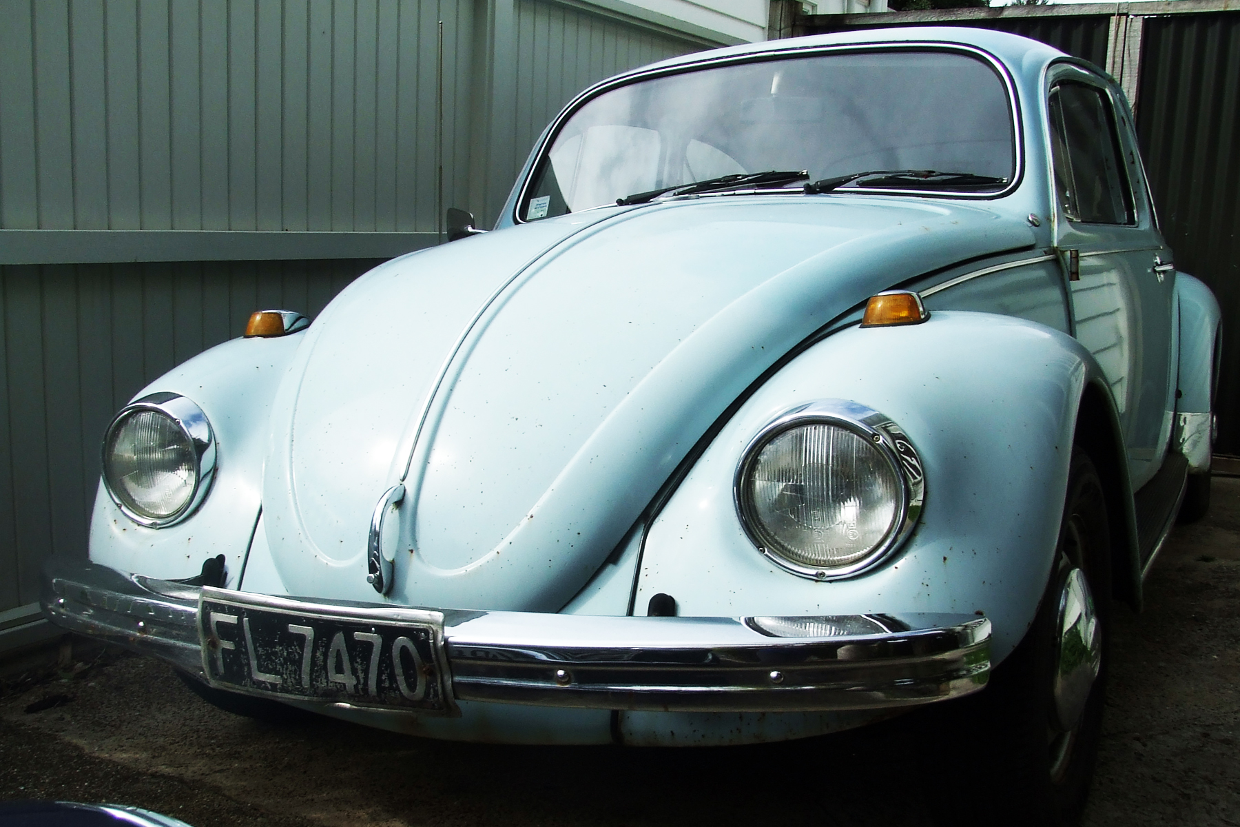 Beetle