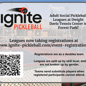 Adult Leagues in Forest Park