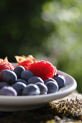 fruit.jpg