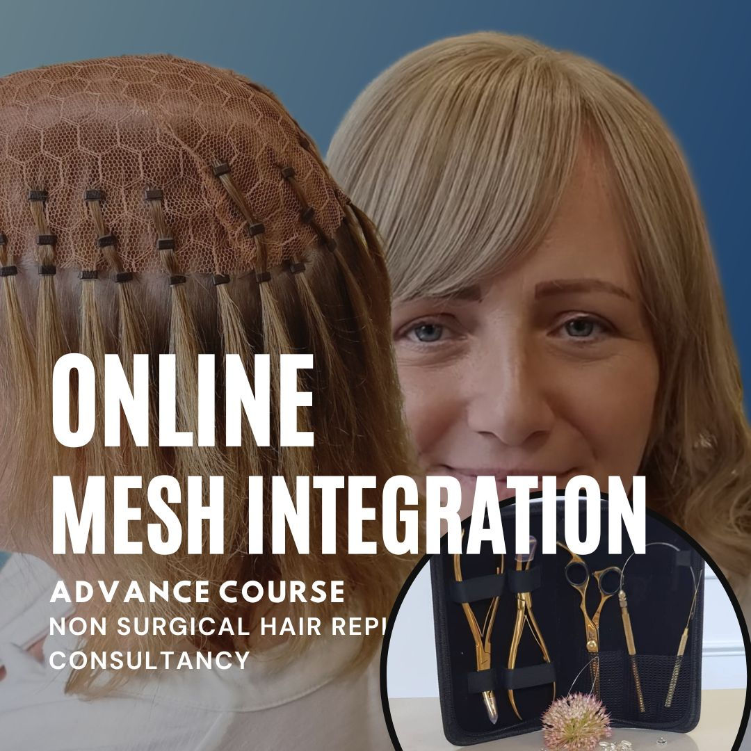 Online Mesh Integration Course + Professional Kit