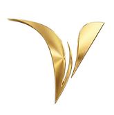 Logo Maison Vernon