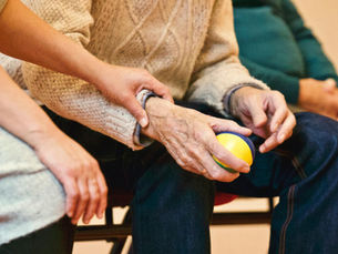Understanding Support at Home