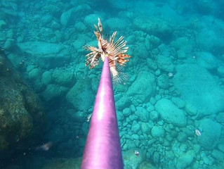 Two Boat Days Too Much Fun!!