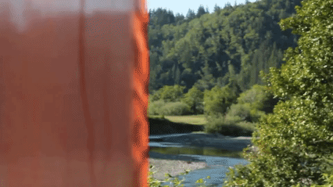 The Elk River