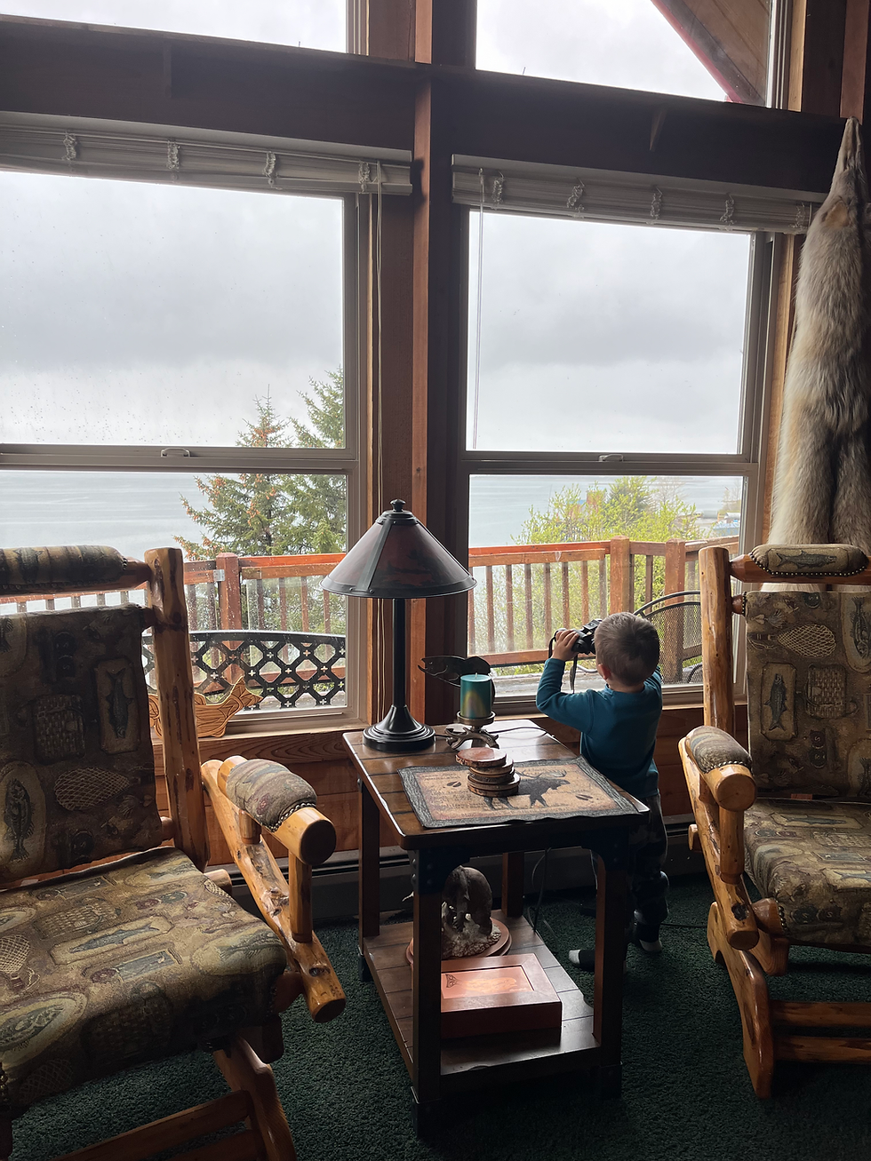 Looking for sea life in the bay