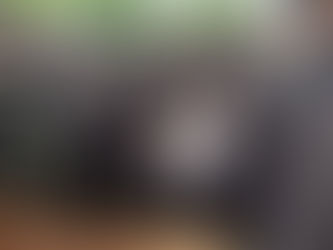 הארצרייסענדע פערטע לויה ביי משפחת דייטש פון שיכון סקווירא