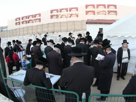 האד' מחוג חתם סופר ביים עליה לציון ביומא דהילולא פון גאב"ד חוג חתם סופר זצוק"ל