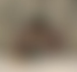 האד' מסאטמאר: מי ביקש זאת מידכם?