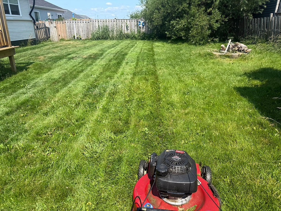 lawn-stripes-mower.jpg