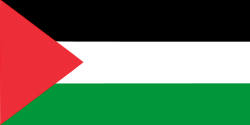 Flag_of_Palestine.svg.webp