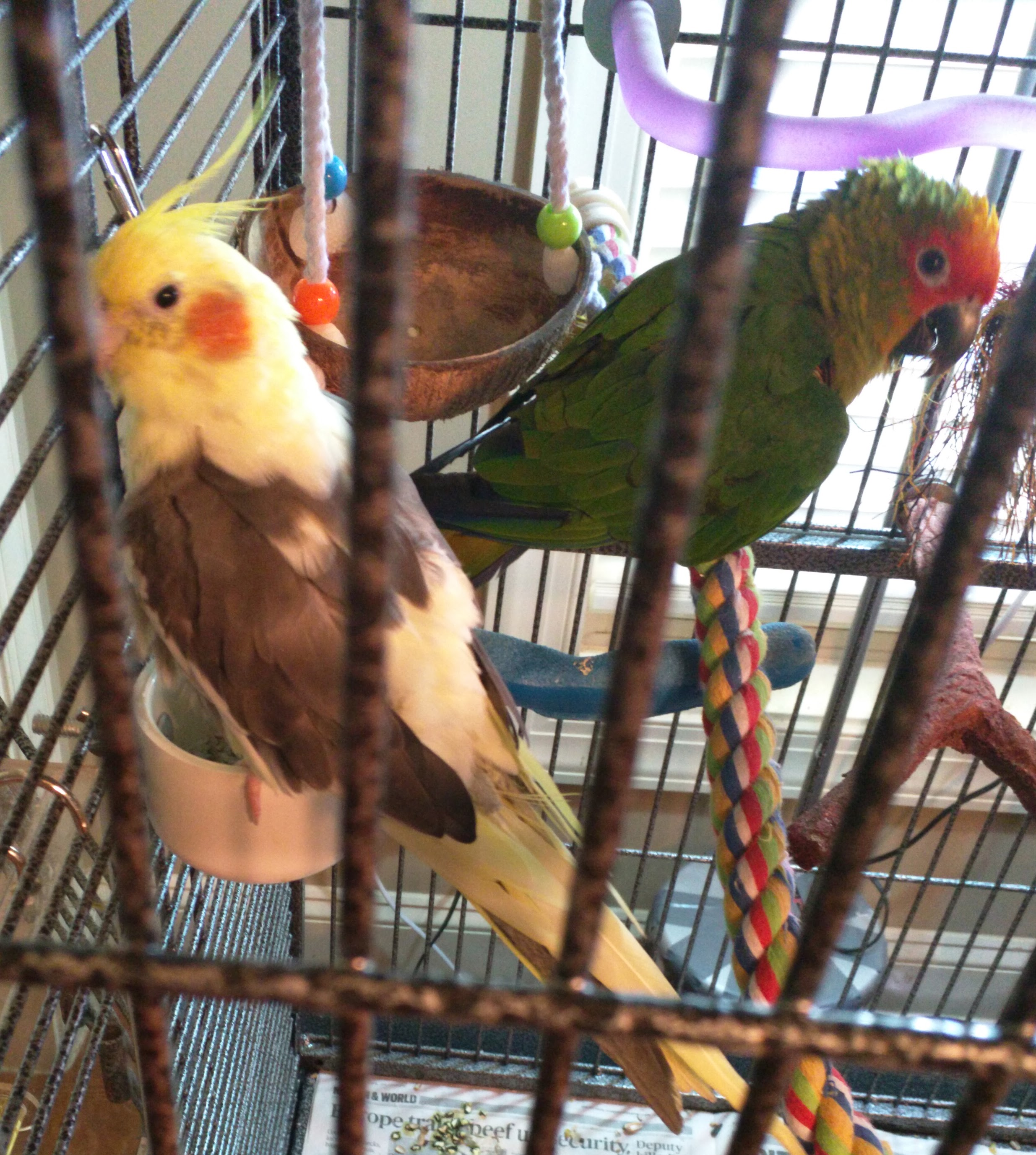 Weet Weet & Sadie