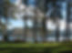 lake view pic from field 1.JPG