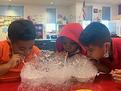 IMG_5296.JPEG
