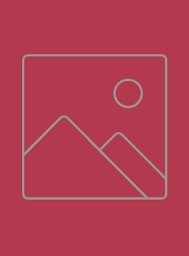 Screenshot 2024-12-30 at 12.30.36 AM.png