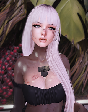Head_Shot_EIA.png