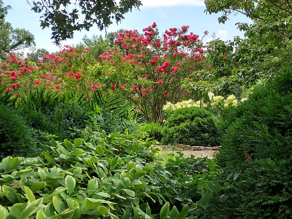 GG 20220724_133032.jpg