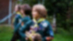 cubs carrying sticks