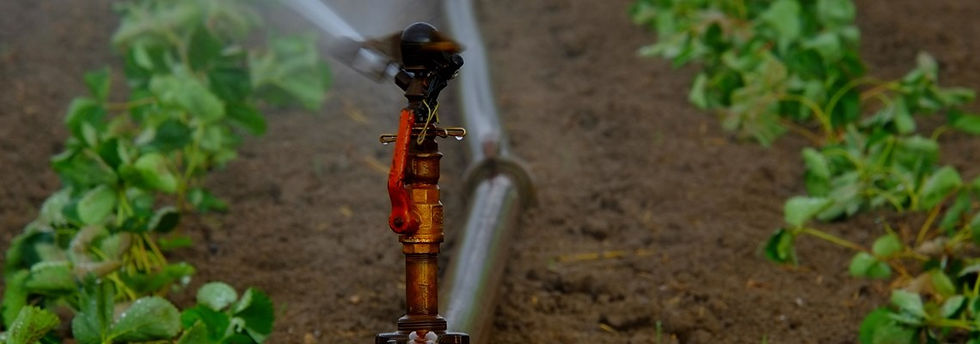 water-sprinkler-g596e488cd_1920.jpg